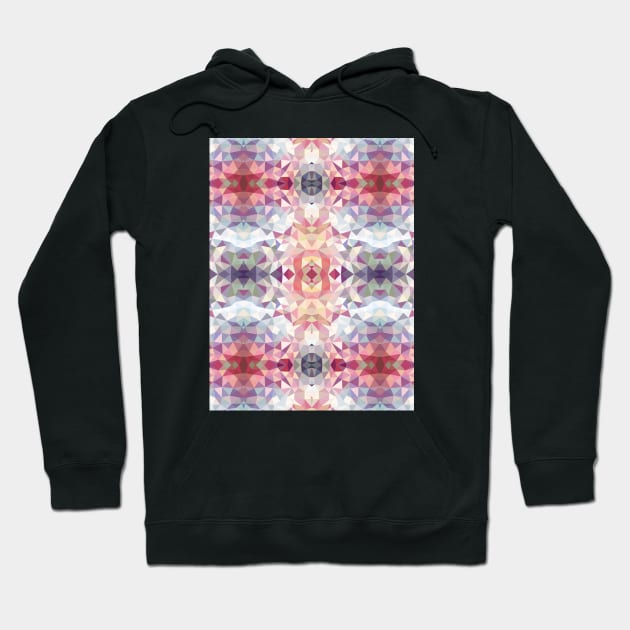 Venice Tribal Hoodie by Beth Thompson Art